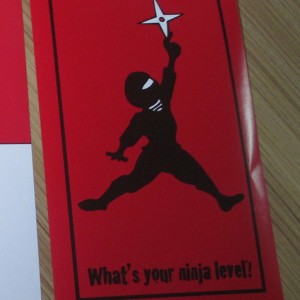 flight ninja sticker
